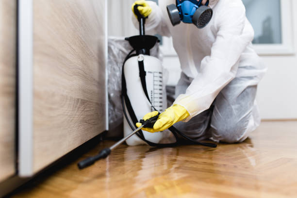 Best Flea Control Services  in Luxora, AR