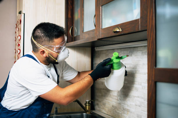 Best Wasp Removal Services  in Luxora, AR