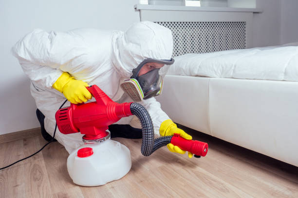 Best Pest Prevention Services  in Luxora, AR