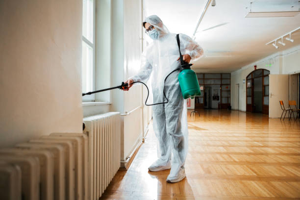 Best Local Pest Control Services  in Luxora, AR